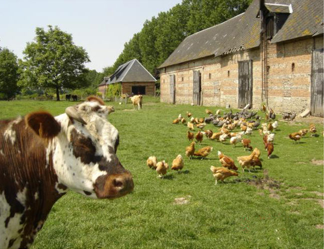 une ferme