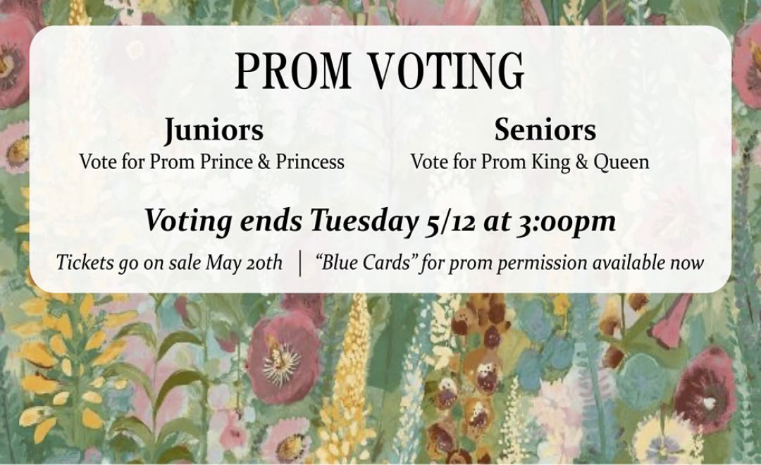 1778255905promvoting.jpg