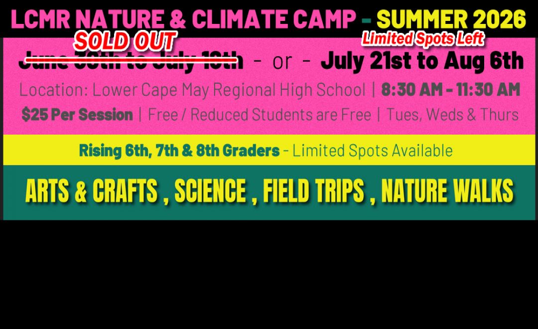 1780670545lcmrnatureclimatecamp.jpg